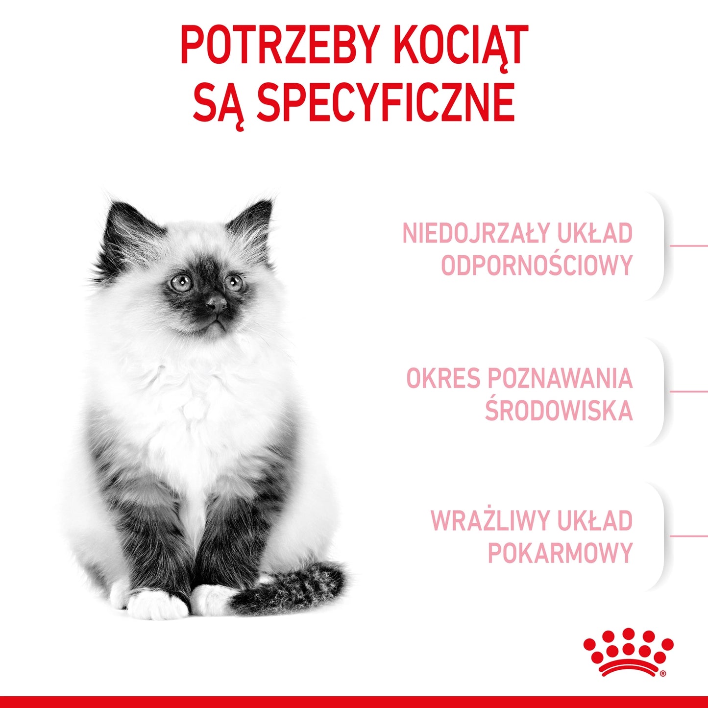 ROYAL CANIN  Kitten 2kg