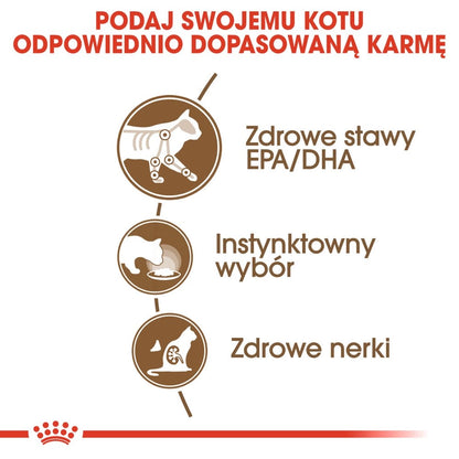 ROYAL CANIN Ageing +12 Gelee 12x85g