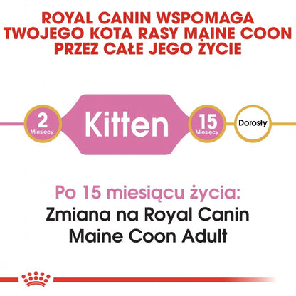 ROYAL CANIN Maine Coon Kitten 10kg